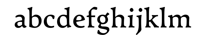 Satyr10 Regular Font LOWERCASE