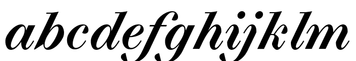 Selva Medium Italic Pro Font LOWERCASE