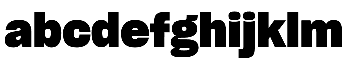 Sharp Grotesk Bold 20 Font LOWERCASE