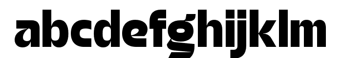 Signate Grotesk   Black Font LOWERCASE