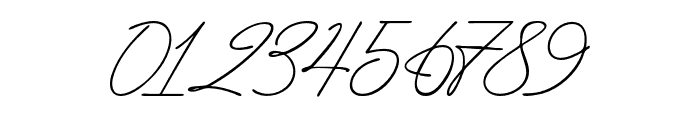 Signature Demo Font OTHER CHARS