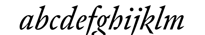 Signifier Regular Italic Font LOWERCASE