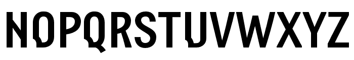Slovic Demo Sans Serif Font LOWERCASE