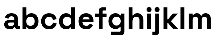 SpaceGrotesk Bold Font LOWERCASE