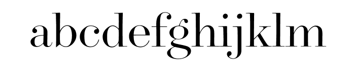 Surveyor Fine Light Font LOWERCASE