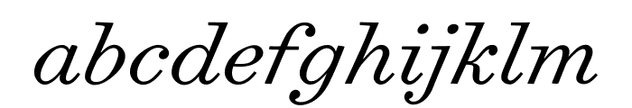 Surveyor Text Light Italic Font LOWERCASE