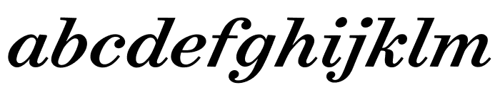 Surveyor Text Medium Italic Font LOWERCASE