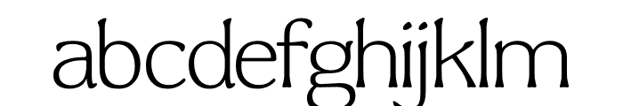 TFBryn Mawr Light Font LOWERCASE