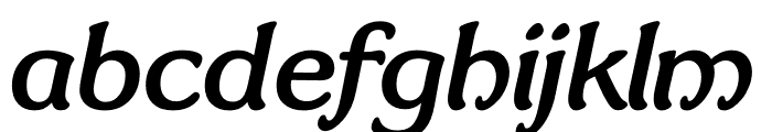 TFBryn Mawr Medium Italic Font LOWERCASE