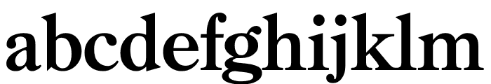 TFCaslon Special Bold Font LOWERCASE