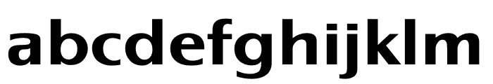 TFGrange Bold Font LOWERCASE