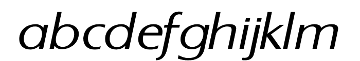 TFGrange Light Italic Font LOWERCASE