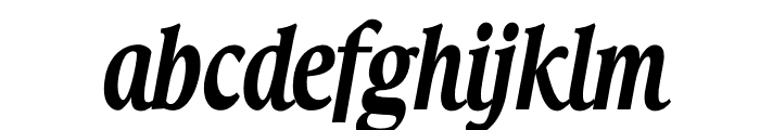TFHabitat Condensed Bold Italic Font LOWERCASE