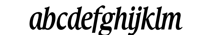 TFHabitat Condensed Demi Italic Font LOWERCASE