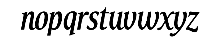 TFHabitat Condensed Demi Italic Font LOWERCASE