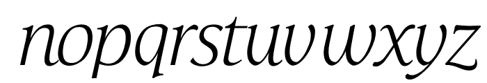 TFHabitat Italic Font LOWERCASE