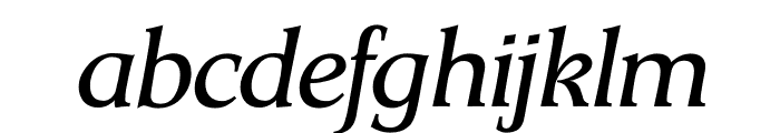 TFSiena Light Italic Font LOWERCASE