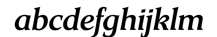TFSiena Medium Italic Font LOWERCASE