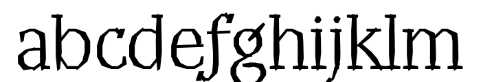 TFTwygmond Light Font LOWERCASE