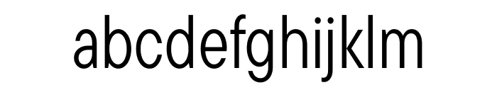 TT Commons Pro Trial Condensed Regular Font LOWERCASE