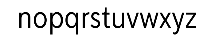 TT Norms Pro Condensed Regular Font LOWERCASE