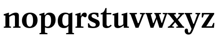 TekstDBold Font LOWERCASE