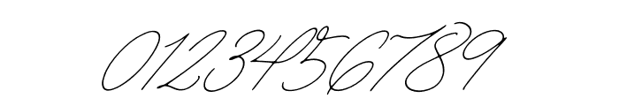 The Handwritten Watermark Obilque Font OTHER CHARS