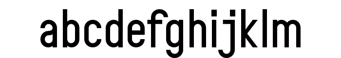 TorGrotesk Regular Font LOWERCASE