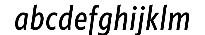 Whitney Condensed ScreenSmart Medium Italic Font LOWERCASE
