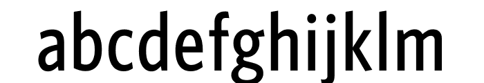 Whitney Condensed ScreenSmart Medium Font LOWERCASE