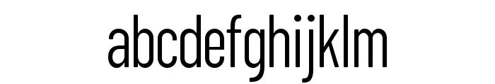 ZT Floogn   Light Font LOWERCASE