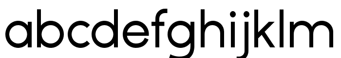 ZT Gatha   Medium Font LOWERCASE