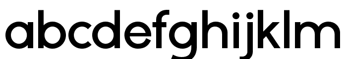 ZT Gatha   SemiBold Font LOWERCASE