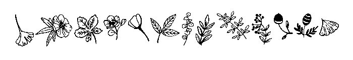 Outline autumn doodle FONT