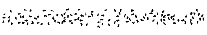 Ouvrieres Agricultrices Font UPPERCASE