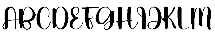 Owner Font UPPERCASE