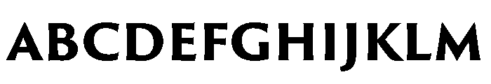 P22 Posada Heavy Font UPPERCASE