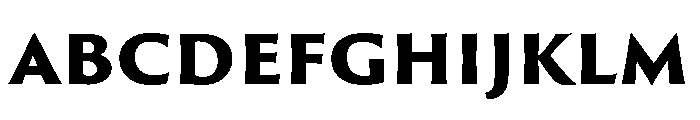 P22 Posada Heavy FONT