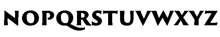 P22 Posada Heavy Font LOWERCASE