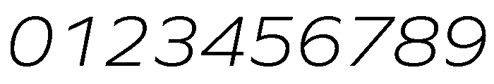 P22 Saarinen Pro Light Italic Font OTHER CHARS