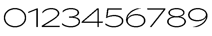P22 Saarinen Pro Thin Font OTHER CHARS