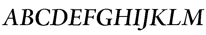 P22 Sting Semibold Italic Font UPPERCASE