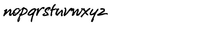 P22 Freely Regular Font LOWERCASE