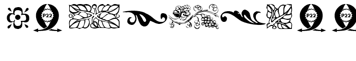 P22 Garamouche Ornaments Font OTHER CHARS