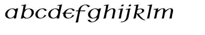 P22 Hoy Bold Italic Font LOWERCASE