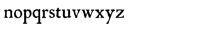 P22 Mayflower Roman Font LOWERCASE