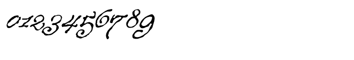 P22 Roanoke Script Regular Font OTHER CHARS