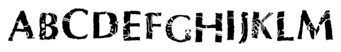 P22 Fontasaurus Text Font LOWERCASE
