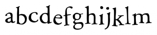 P22 Garamouche Regular Font LOWERCASE