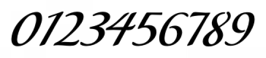 P22 Lucilee Regular Font OTHER CHARS